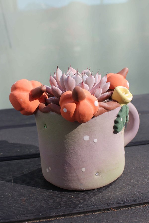 Echeveria Texensis with 3D Purple Mug Pot