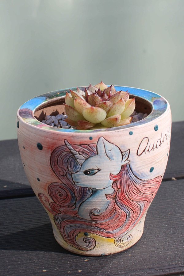 Echeveria hybrid with Hand-painted Unicorn Pot