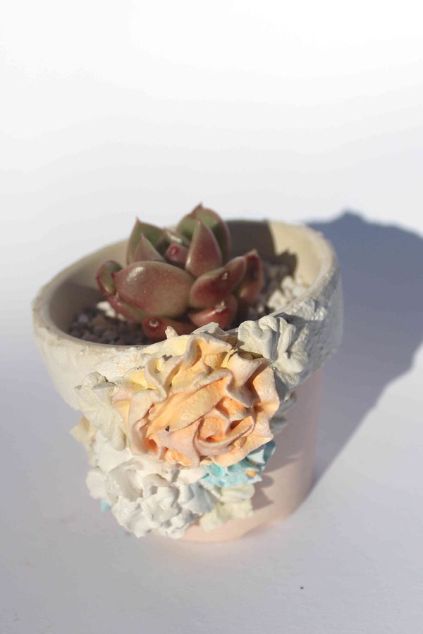 Echeveria agavoides sp with Orange 3D Floral Pot
