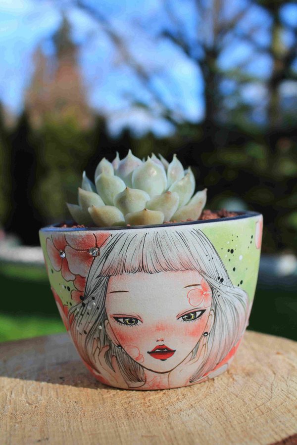 Echeveria hybrid with Hand-painted White-haired Girl Pot