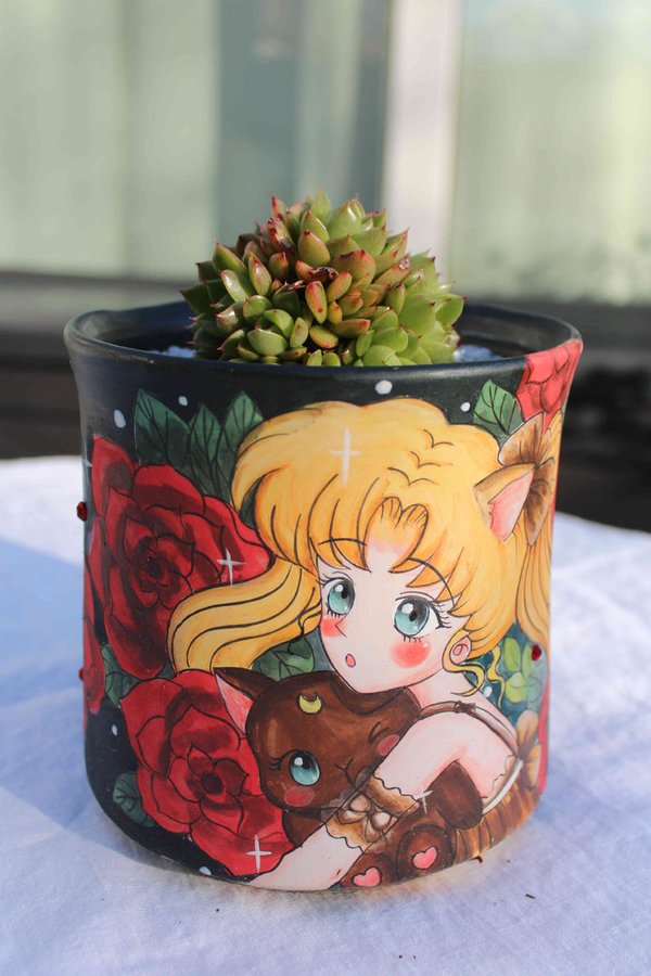 Echeveria 'Red Wine Peach' with Hand-painted Sailor Moon Pot