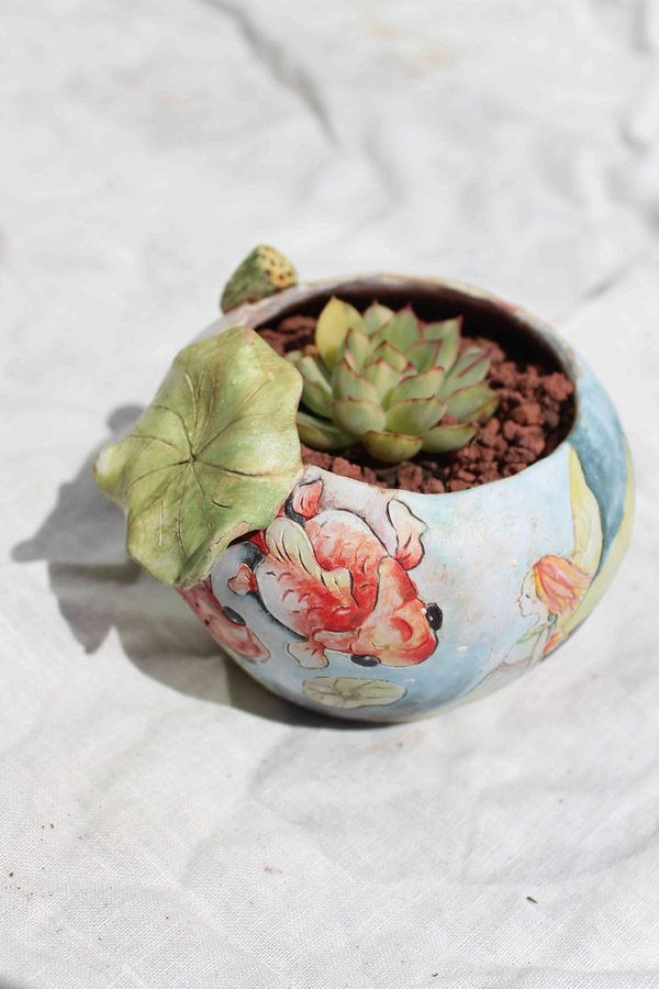 Echeveria beniothine variegated with 3D Lotus and Fish Pot